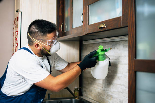 Best Pest Control for Restaurants  in Panhandle, TX