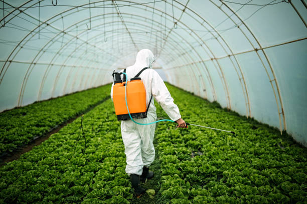Pest Control Cost in Panhandle, TX