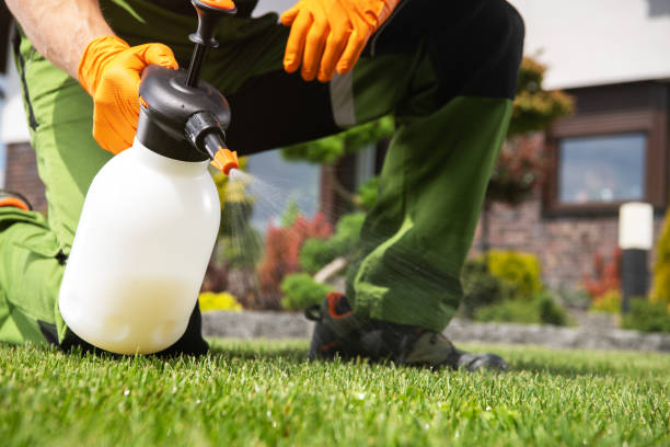 Best Termite Control Services  in Panhandle, TX