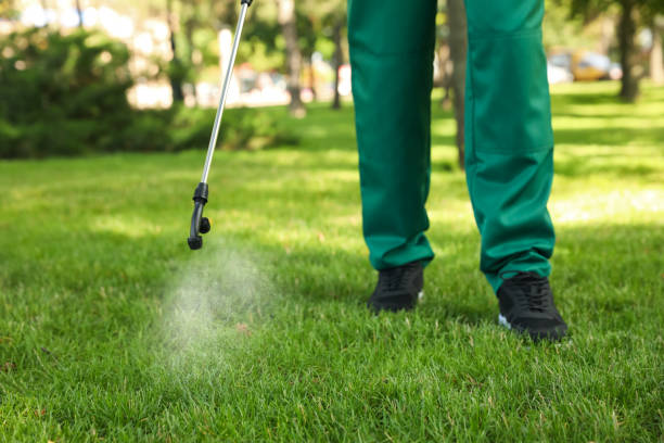 Best Flea Control Services  in Panhandle, TX