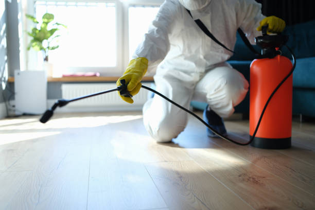 Best Pest Control Near Me in Panhandle, TX