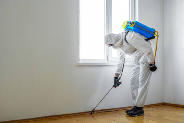 Best Residential Pest Control  in Panhandle, TX