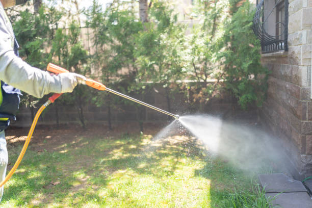 Best Affordable Pest Control Services  in Panhandle, TX