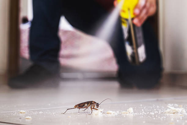 Best Residential Pest Control  in Panhandle, TX