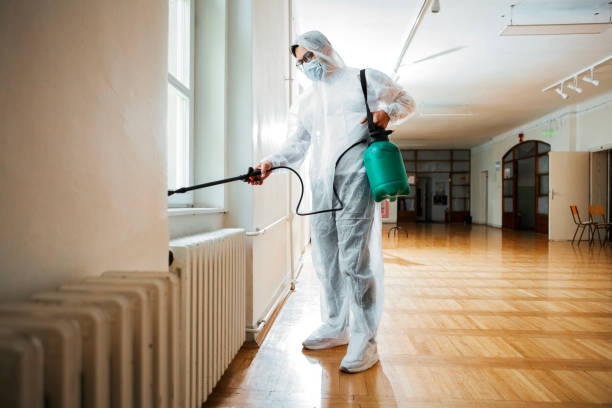 Best Local Pest Control Services  in Panhandle, TX