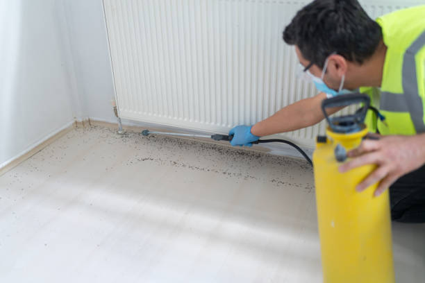 Best Best Pest Control Companies  in Panhandle, TX